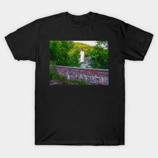 Viewing The Past From The Past T-Shirt